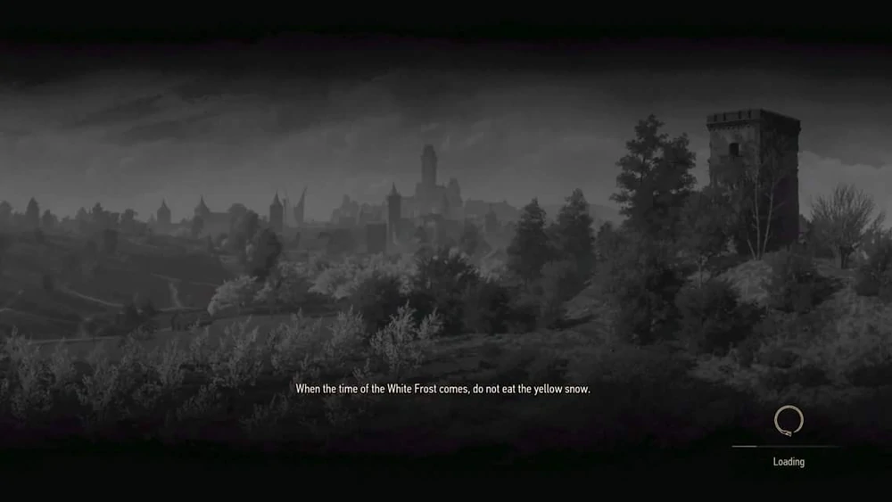 witcher 3 loading screen